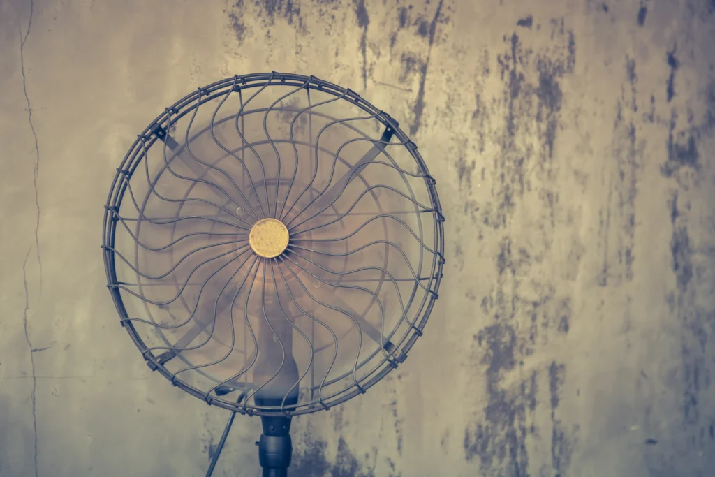 Common Mistakes to Avoid When Renting Mist Fans